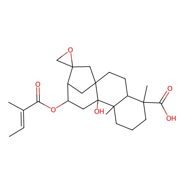 2D Structure of 10'-Hydroxy-5',9'-dimethyl-12'-(2-methylbut-2-enoyloxy)spiro[oxirane-2,14'-tetracyclo[11.2.1.01,10.04,9]hexadecane]-5'-carboxylic acid