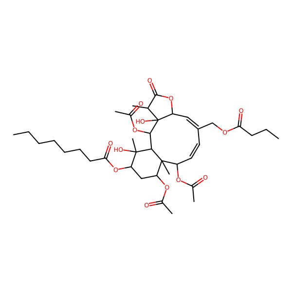 2D Structure of [(1S,2S,3S,4R,7S,8E,10Z,12S,13R,14S,16R,17S)-2,12,14-triacetyloxy-9-(butanoyloxymethyl)-3,17-dihydroxy-4,13,17-trimethyl-5-oxo-6-oxatricyclo[11.4.0.03,7]heptadeca-8,10-dien-16-yl] octanoate