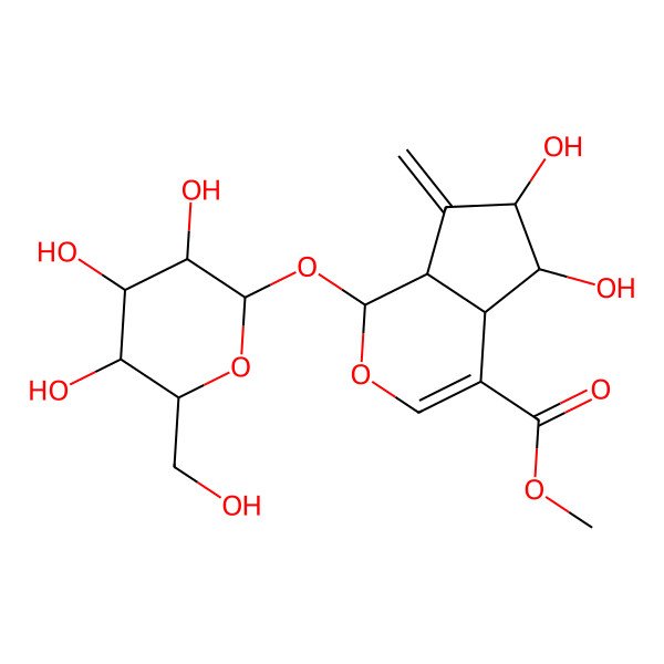 2D Structure of methyl 5,6-dihydroxy-7-methylidene-1-[3,4,5-trihydroxy-6-(hydroxymethyl)oxan-2-yl]oxy-4a,5,6,7a-tetrahydro-1H-cyclopenta[c]pyran-4-carboxylate