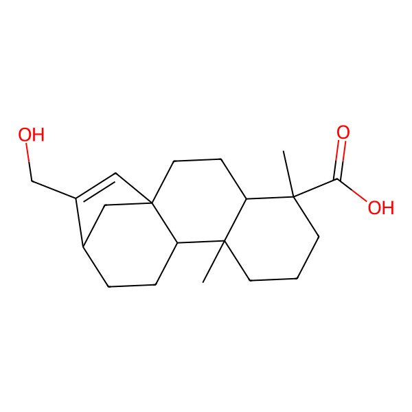 2D Structure of (1R,4R,5R,9R,10R,13S)-14-(hydroxymethyl)-5,9-dimethyltetracyclo[11.2.1.01,10.04,9]hexadec-14-ene-5-carboxylic acid