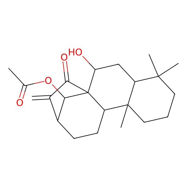 2D Structure of [(1R,2R,4R,9R,10S,13R,16R)-2-hydroxy-5,5,9-trimethyl-14-methylidene-15-oxo-16-tetracyclo[11.2.1.01,10.04,9]hexadecanyl] acetate