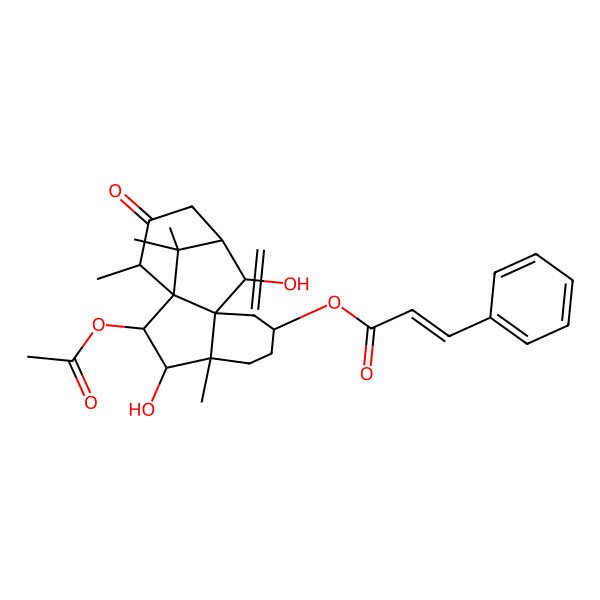 2D Structure of (2-Acetyloxy-3,10-dihydroxy-4,14,15,15-tetramethyl-8-methylidene-13-oxo-7-tetracyclo[9.3.1.01,9.04,9]pentadecanyl) 3-phenylprop-2-enoate