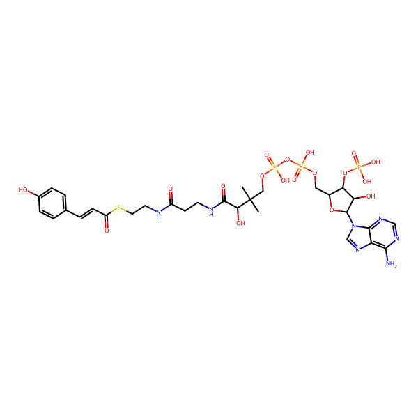 2D Structure of S-[2-[3-[[(2S)-4-[[[(2S,3S,4R,5S)-5-(6-aminopurin-9-yl)-4-hydroxy-3-phosphonooxyoxolan-2-yl]methoxy-hydroxyphosphoryl]oxy-hydroxyphosphoryl]oxy-2-hydroxy-3,3-dimethylbutanoyl]amino]propanoylamino]ethyl] (E)-3-(4-hydroxyphenyl)prop-2-enethioate