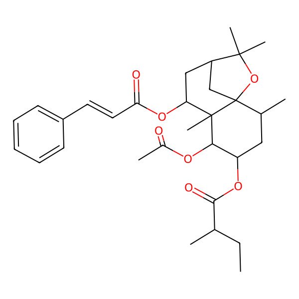 2D Structure of [(1S,2R,4S,5R,6R,7S,9R)-5-acetyloxy-2,6,10,10-tetramethyl-7-[(E)-3-phenylprop-2-enoyl]oxy-11-oxatricyclo[7.2.1.01,6]dodecan-4-yl] (2R)-2-methylbutanoate