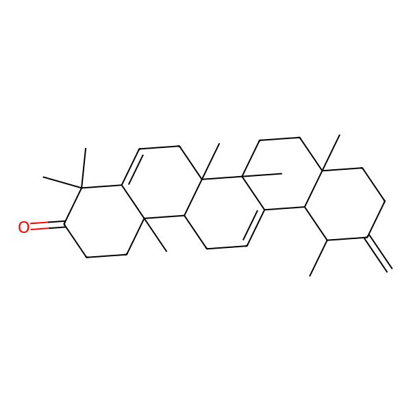 2D Structure of (6aR,6bS,8aR,12S,12aS,14bR)-4,4,6a,6b,8a,12,14b-heptamethyl-11-methylidene-2,6,7,8,9,10,12,12a,14,14a-decahydro-1H-picen-3-one