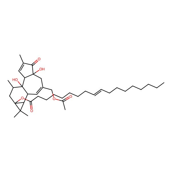2D Structure of [8-(Acetyloxymethyl)-1,6-dihydroxy-4,12,12,15-tetramethyl-5-oxo-13-tetracyclo[8.5.0.02,6.011,13]pentadeca-3,8-dienyl] octadec-9-enoate