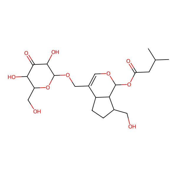 2D Structure of [(1S,4aS,7S,7aS)-4-[[(2R,3S,5R,6R)-3,5-dihydroxy-6-(hydroxymethyl)-4-oxooxan-2-yl]oxymethyl]-7-(hydroxymethyl)-1,4a,5,6,7,7a-hexahydrocyclopenta[c]pyran-1-yl] 3-methylbutanoate