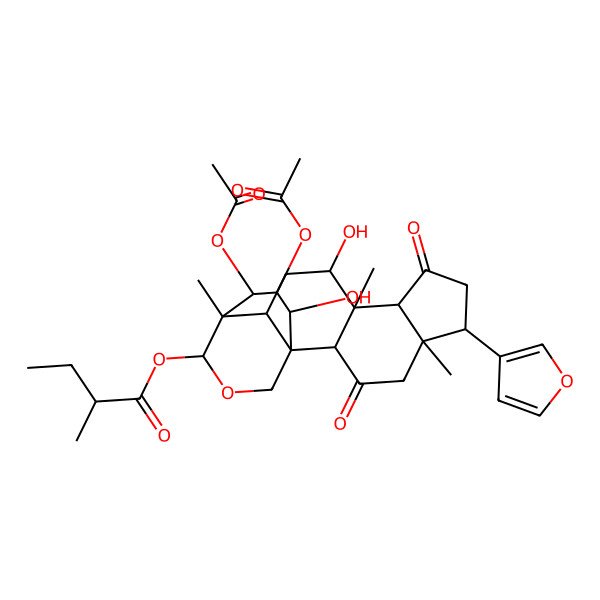 2D Structure of [(1S,2S,5S,6R,9R,10S,11R,13R,14R,15S,18R,19R,20S)-19,20-diacetyloxy-6-(furan-3-yl)-11,18-dihydroxy-5,10,14-trimethyl-3,8-dioxo-16-oxapentacyclo[12.3.3.01,13.02,10.05,9]icosan-15-yl] (2R)-2-methylbutanoate