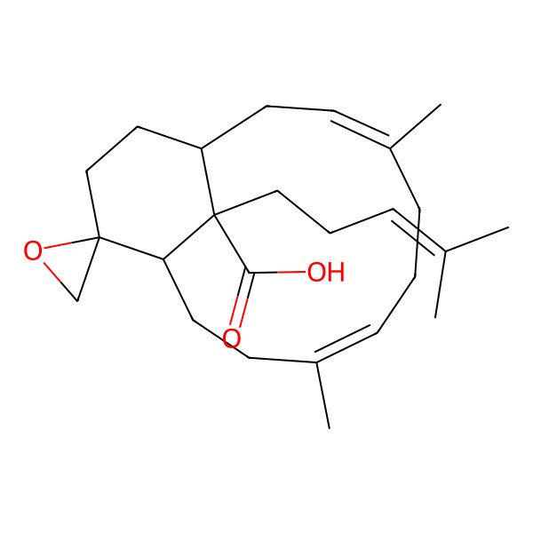 2D Structure of 4,8-Dimethyl-15-(4-methylpent-3-enyl)spiro[bicyclo[9.3.1]pentadeca-3,7-diene-12,2'-oxirane]-15-carboxylic acid