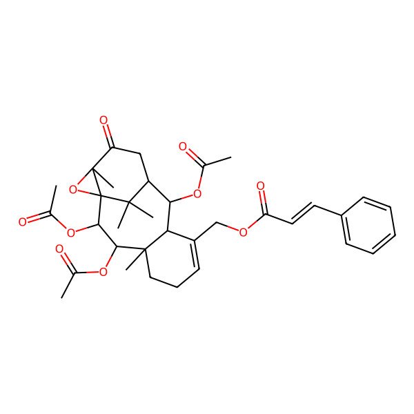 2D Structure of (2,3,10-Triacetyloxy-4,14,16,16-tetramethyl-13-oxo-15-oxatetracyclo[9.4.1.01,14.04,9]hexadec-7-en-8-yl)methyl 3-phenylprop-2-enoate