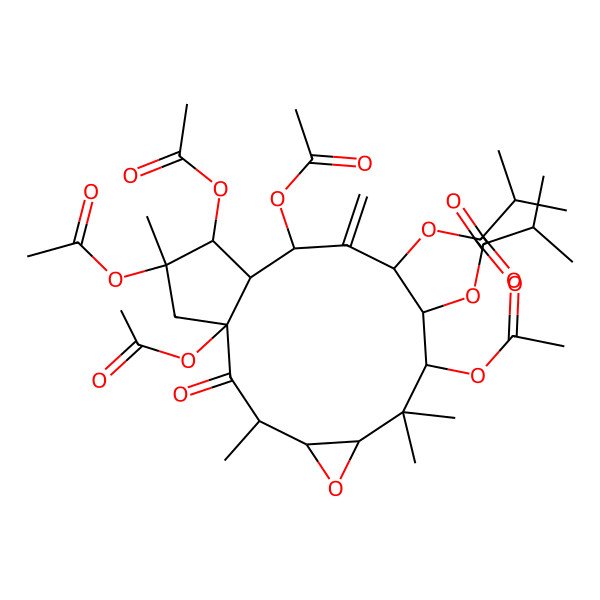 2D Structure of [(1R,3R,4S,6S,8S,9S,10S,12R,13S,14R,15R)-1,8,12,14,15-pentaacetyloxy-3,7,7,15-tetramethyl-11-methylidene-10-(2-methylpropanoyloxy)-2-oxo-5-oxatricyclo[11.3.0.04,6]hexadecan-9-yl] 2-methylpropanoate