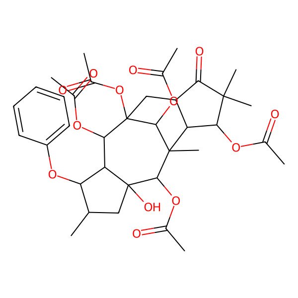 2D Structure of [(1R,2R,3R,4S,5S,7R,9R,10S,11S,14R)-1,2,8,16-tetraacetyloxy-7-hydroxy-5,9,12,12-tetramethyl-13-oxo-4-phenoxy-11-tetracyclo[7.6.1.03,7.010,14]hexadecanyl] acetate