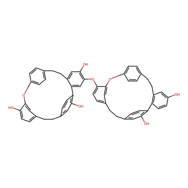 2D Structure of 4-[(5,24-Dihydroxy-14-oxapentacyclo[20.2.2.210,13.115,19.02,7]nonacosa-1(24),2(7),3,5,10(29),11,13(28),15,17,19(27),22,25-dodecaen-16-yl)oxy]-14-oxapentacyclo[20.2.2.210,13.115,19.02,7]nonacosa-1(24),2,4,6,10(29),11,13(28),15,17,19(27),22,25-dodecaene-5,16,24-triol