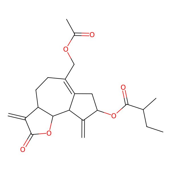 2D Structure of [(3aS,8S,9aR,9bS)-6-(acetyloxymethyl)-3,9-dimethylidene-2-oxo-4,5,7,8,9a,9b-hexahydro-3aH-azuleno[4,5-b]furan-8-yl] (2R)-2-methylbutanoate