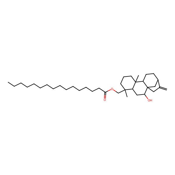 2D Structure of [(1R,2S,4S,5S,9R,10S,13R)-2-hydroxy-5,9-dimethyl-14-methylidene-5-tetracyclo[11.2.1.01,10.04,9]hexadecanyl]methyl hexadecanoate