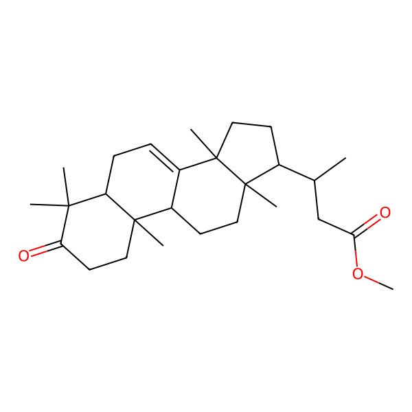 2D Structure of methyl (3S)-3-[(5R,9R,10R,13S,14S,17S)-4,4,10,13,14-pentamethyl-3-oxo-1,2,5,6,9,11,12,15,16,17-decahydrocyclopenta[a]phenanthren-17-yl]butanoate