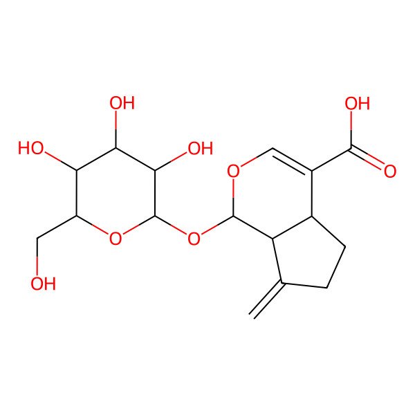 2D Structure of 7-methylidene-1-[3,4,5-trihydroxy-6-(hydroxymethyl)oxan-2-yl]oxy-4a,5,6,7a-tetrahydro-1H-cyclopenta[c]pyran-4-carboxylic acid