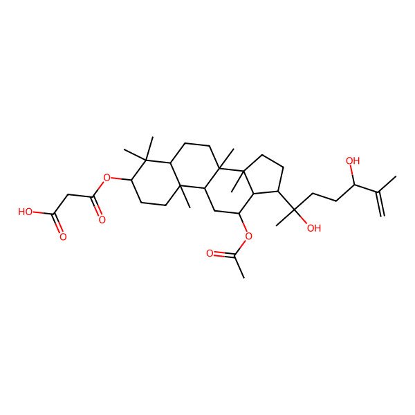 2D Structure of 3-[[(3R,5R,8R,9R,10R,12R,13R,14R,17S)-12-acetyloxy-17-[(2S,5S)-2,5-dihydroxy-6-methylhept-6-en-2-yl]-4,4,8,10,14-pentamethyl-2,3,5,6,7,9,11,12,13,15,16,17-dodecahydro-1H-cyclopenta[a]phenanthren-3-yl]oxy]-3-oxopropanoic acid