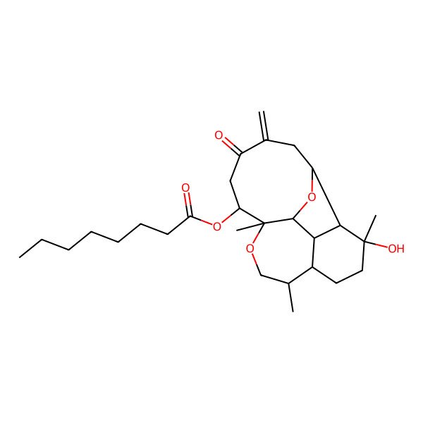 2D Structure of (4-Hydroxy-4,8,11-trimethyl-15-methylidene-14-oxo-10,18-dioxatetracyclo[9.7.0.02,7.03,17]octadecan-12-yl) octanoate
