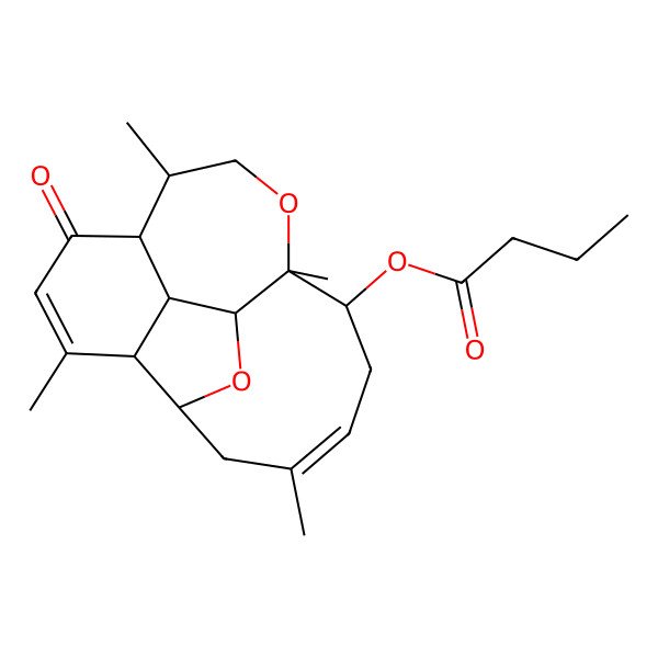 2D Structure of [(1S,2R,3S,7R,8R,11S,12R,14Z,17S)-4,8,11,15-tetramethyl-6-oxo-10,18-dioxatetracyclo[9.7.0.02,7.03,17]octadeca-4,14-dien-12-yl] butanoate