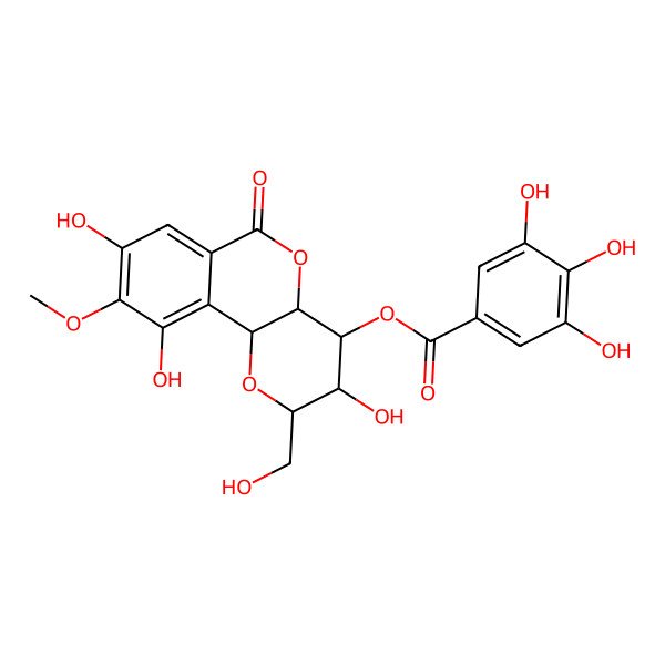 2D Structure of [(2R,3R,4S,4aS,10bS)-3,8,10-trihydroxy-2-(hydroxymethyl)-9-methoxy-6-oxo-3,4,4a,10b-tetrahydro-2H-pyrano[3,2-c]isochromen-4-yl] 3,4,5-trihydroxybenzoate