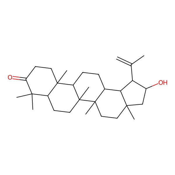 2D Structure of (1R,2S,3aS,5aR,5bR,7aR,11aR,11bR,13aR,13bS)-2-hydroxy-3a,5a,5b,8,8,11a-hexamethyl-1-prop-1-en-2-yl-2,3,4,5,6,7,7a,10,11,11b,12,13,13a,13b-tetradecahydro-1H-cyclopenta[a]chrysen-9-one