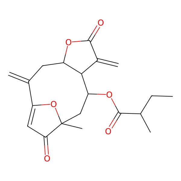 2D Structure of [(4R,8S,9R,11R)-11-methyl-2,7-dimethylidene-6,12-dioxo-5,14-dioxatricyclo[9.2.1.04,8]tetradec-1(13)-en-9-yl] (2R)-2-methylbutanoate
