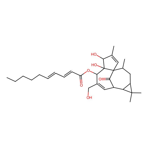 2D Structure of [(1S,4S,5R,6R,9S,10R,12R,14R)-4,5-dihydroxy-7-(hydroxymethyl)-3,11,11,14-tetramethyl-15-oxo-6-tetracyclo[7.5.1.01,5.010,12]pentadeca-2,7-dienyl] (2E,4Z)-deca-2,4-dienoate