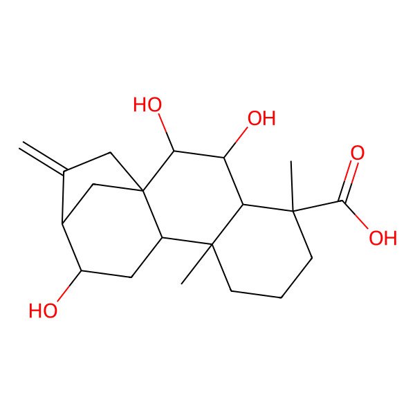 2D Structure of (1R,2R,3S,4S,5R,9S,10S,12S,13R)-2,3,12-trihydroxy-5,9-dimethyl-14-methylidenetetracyclo[11.2.1.01,10.04,9]hexadecane-5-carboxylic acid