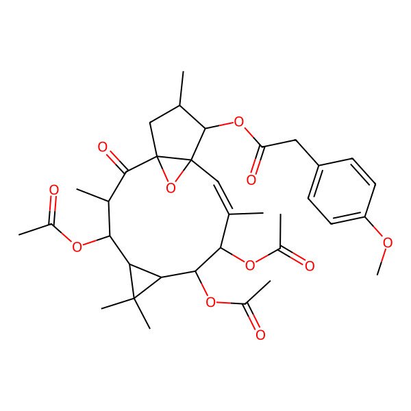 2D Structure of [(1R,3R,4R,5R,7S,8S,9R,10E,12S,13S,14S)-4,8,9-triacetyloxy-3,6,6,10,14-pentamethyl-2-oxo-16-oxatetracyclo[10.3.1.01,12.05,7]hexadec-10-en-13-yl] 2-(4-methoxyphenyl)acetate