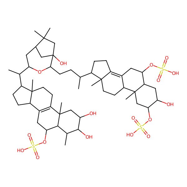 2D Structure of [(2S,3R,4R,5S,6S,10S,13R,14R,17R)-2,3-dihydroxy-17-[(1S)-1-[(1R,2S,4R,6R)-1-hydroxy-2-[(3R)-3-[(2S,3R,5S,6S,9R,10R,13R,17R)-3-hydroxy-10,13-dimethyl-2,6-disulfooxy-2,3,4,5,6,7,9,11,12,15,16,17-dodecahydro-1H-cyclopenta[a]phenanthren-17-yl]butyl]-7,7-dimethyl-3-oxabicyclo[4.2.1]nonan-4-yl]ethyl]-4,10,13-trimethyl-2,3,4,5,6,7,11,12,14,15,16,17-dodecahydro-1H-cyclopenta[a]phenanthren-6-yl] hydrogen sulfate