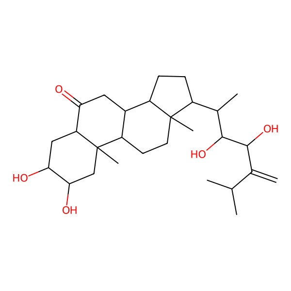 2D Structure of (2R,3S,5S,8S,9S,10R,13R,14S,17R)-17-[(2S,3R,4R)-3,4-dihydroxy-6-methyl-5-methylideneheptan-2-yl]-2,3-dihydroxy-10,13-dimethyl-1,2,3,4,5,7,8,9,11,12,14,15,16,17-tetradecahydrocyclopenta[a]phenanthren-6-one
