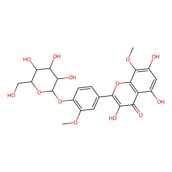 2D Structure of 3,5,7-trihydroxy-8-methoxy-2-[3-methoxy-4-[(2S,3R,4S,5S,6R)-3,4,5-trihydroxy-6-(hydroxymethyl)oxan-2-yl]oxyphenyl]chromen-4-one