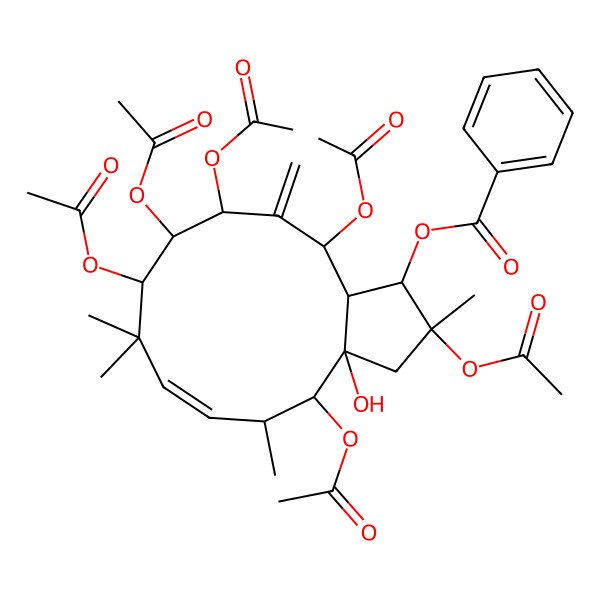 2D Structure of (2,4,9,10,11,13-hexaacetyloxy-3a-hydroxy-2,5,8,8-tetramethyl-12-methylidene-3,4,5,9,10,11,13,13a-octahydro-1H-cyclopenta[12]annulen-1-yl) benzoate