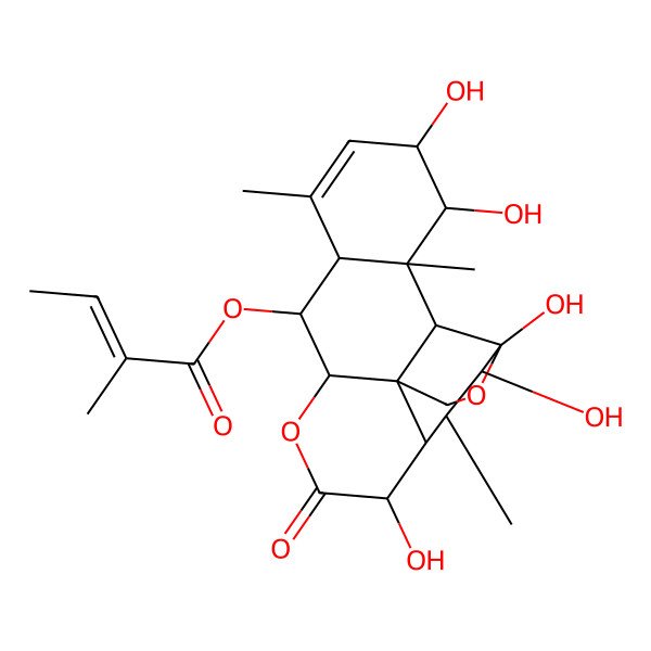 2D Structure of [(1S,4R,5R,6R,7S,8R,11S,12R,13S,16S,17S,18S,19R)-4,5,8,16,17-pentahydroxy-6,14,18-trimethyl-9-oxo-3,10-dioxapentacyclo[9.8.0.01,7.04,19.013,18]nonadec-14-en-12-yl] (E)-2-methylbut-2-enoate