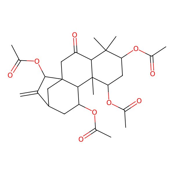 2D Structure of [(1S,4R,6S,8S,9S,10R,11S,13S,15R)-6,8,15-triacetyloxy-5,5,9-trimethyl-14-methylidene-3-oxo-11-tetracyclo[11.2.1.01,10.04,9]hexadecanyl] acetate