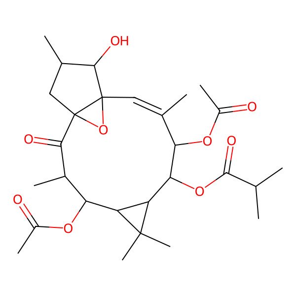 2D Structure of [(1R,3R,4R,5R,7S,8S,9R,10E,12S,13R,14R)-4,9-diacetyloxy-13-hydroxy-3,6,6,10,14-pentamethyl-2-oxo-16-oxatetracyclo[10.3.1.01,12.05,7]hexadec-10-en-8-yl] 2-methylpropanoate