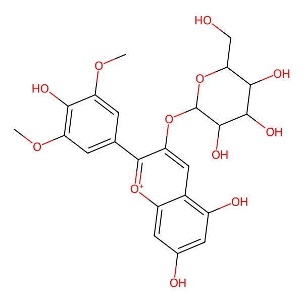 2D Structure of (2S,3R,4S,5R,6S)-2-[5,7-dihydroxy-2-(4-hydroxy-3,5-dimethoxyphenyl)chromenylium-3-yl]oxy-6-(hydroxymethyl)oxane-3,4,5-triol