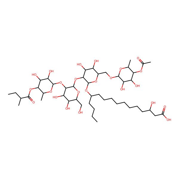 2D Structure of (3R,12S)-12-[(2R,3R,4S,5S,6R)-6-[[(2R,3R,4S,5R,6S)-5-acetyloxy-3,4-dihydroxy-6-methyloxan-2-yl]oxymethyl]-3-[(2S,3R,4S,5S,6R)-3-[(2S,3R,4S,5R,6S)-3,4-dihydroxy-6-methyl-5-[(2R)-2-methylbutanoyl]oxyoxan-2-yl]oxy-4,5-dihydroxy-6-(hydroxymethyl)oxan-2-yl]oxy-4,5-dihydroxyoxan-2-yl]oxy-3-hydroxyhexadecanoic acid