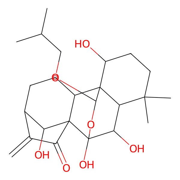 2D Structure of 9,10,15,18-Tetrahydroxy-12,12-dimethyl-6-methylidene-16-(2-methylpropoxy)-17-oxapentacyclo[7.6.2.15,8.01,11.02,8]octadecan-7-one