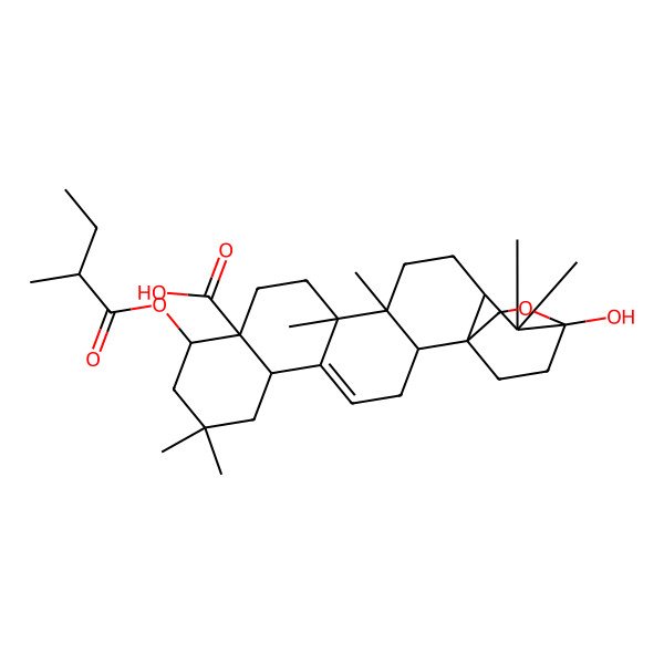 2D Structure of (1S,2S,6S,10R,11S,14S,15R,18R,20S)-20-hydroxy-8,8,14,15,19,19-hexamethyl-10-[(2R)-2-methylbutanoyl]oxy-21-oxahexacyclo[18.2.2.01,18.02,15.05,14.06,11]tetracos-4-ene-11-carboxylic acid