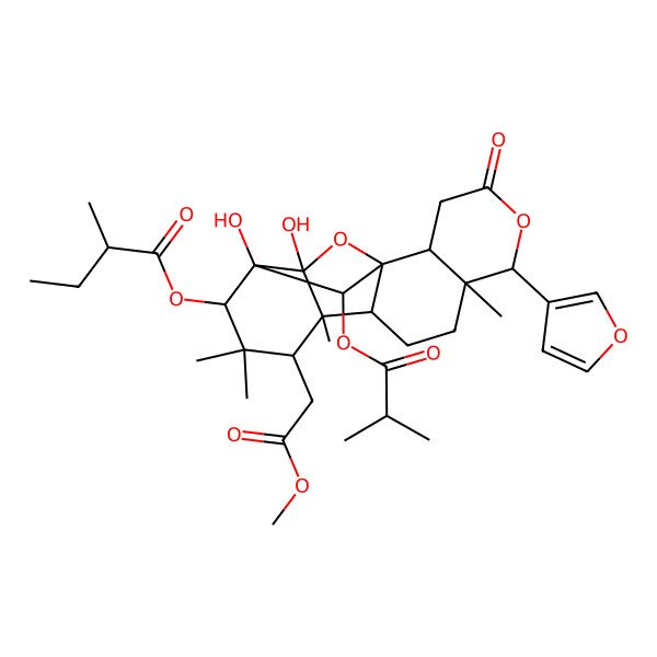 2D Structure of [(1S,2R,6R,7R,10R,11S,12S,14S,15S,16R,18R)-6-(furan-3-yl)-15,16-dihydroxy-12-(2-methoxy-2-oxoethyl)-7,11,13,13-tetramethyl-18-(2-methylpropanoyloxy)-4-oxo-5,17-dioxapentacyclo[13.2.1.01,10.02,7.011,16]octadecan-14-yl] (2S)-2-methylbutanoate