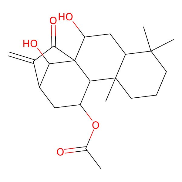 2D Structure of (2,16-Dihydroxy-5,5,9-trimethyl-14-methylidene-15-oxo-11-tetracyclo[11.2.1.01,10.04,9]hexadecanyl) acetate