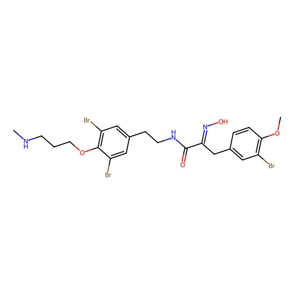 2D Structure of 3-(3-bromo-4-methoxyphenyl)-N-[2-[3,5-dibromo-4-[3-(methylamino)propoxy]phenyl]ethyl]-2-hydroxyiminopropanamide