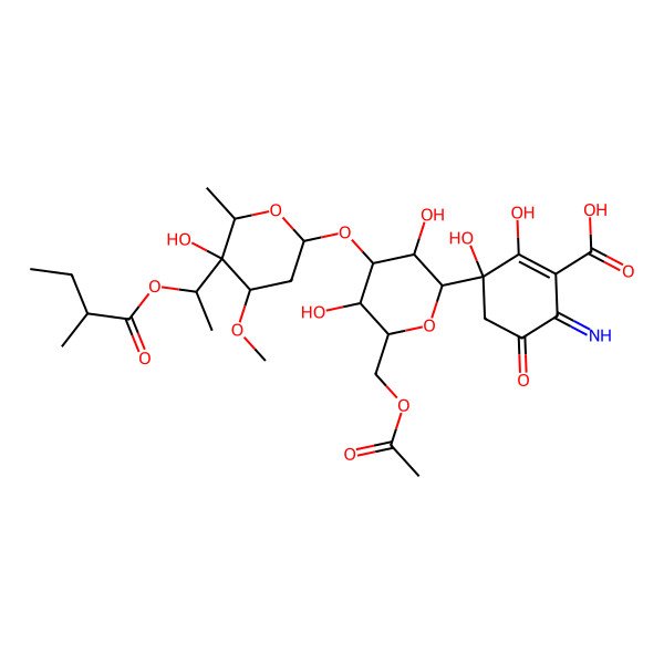 2D Structure of 3-[6-(Acetyloxymethyl)-3,5-dihydroxy-4-[5-hydroxy-4-methoxy-6-methyl-5-[1-(2-methylbutanoyloxy)ethyl]oxan-2-yl]oxyoxan-2-yl]-2,3-dihydroxy-6-imino-5-oxocyclohexene-1-carboxylic acid