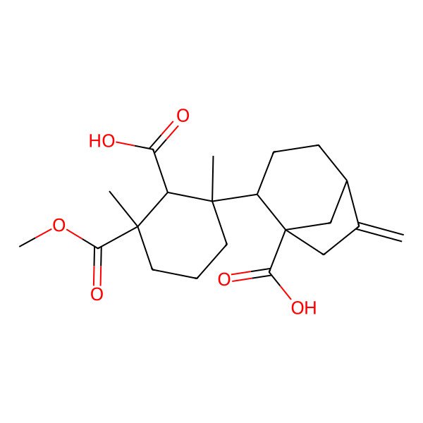 2D Structure of (1R,2S,5S)-2-[(1S,2S,3R)-2-carboxy-3-methoxycarbonyl-1,3-dimethylcyclohexyl]-6-methylidenebicyclo[3.2.1]octane-1-carboxylic acid