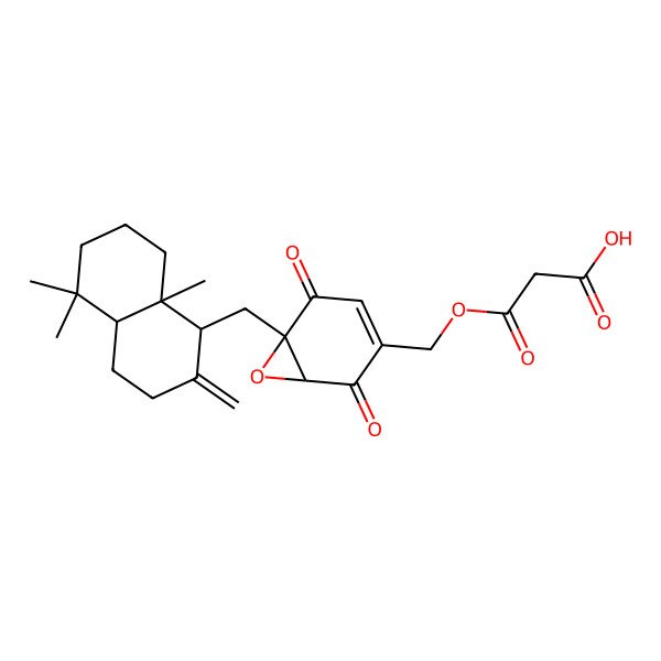 2D Structure of 3-[[(1R,6R)-6-[[(1S,4aS,8aS)-5,5,8a-trimethyl-2-methylidene-3,4,4a,6,7,8-hexahydro-1H-naphthalen-1-yl]methyl]-2,5-dioxo-7-oxabicyclo[4.1.0]hept-3-en-3-yl]methoxy]-3-oxopropanoic acid