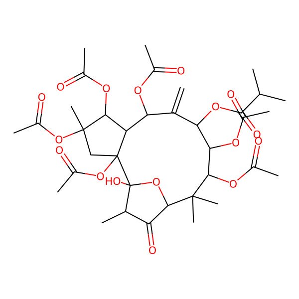 2D Structure of [(1R,2R,4R,5R,6S,7R,9S,10S,11R,13S,15S)-2,4,5,7,10,11-hexaacetyloxy-1-hydroxy-4,12,12,15-tetramethyl-8-methylidene-14-oxo-16-oxatricyclo[11.2.1.02,6]hexadecan-9-yl] 2-methylpropanoate