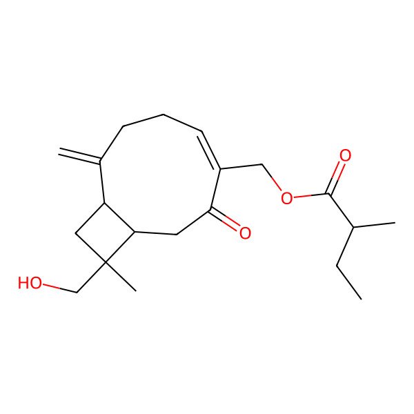 2D Structure of [11-(Hydroxymethyl)-11-methyl-8-methylidene-3-oxo-4-bicyclo[7.2.0]undec-4-enyl]methyl 2-methylbutanoate