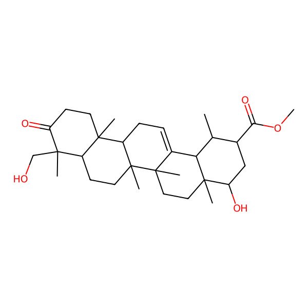 2D Structure of Methyl 4-hydroxy-9-(hydroxymethyl)-1,4a,6a,6b,9,12a-hexamethyl-10-oxo-1,2,3,4,5,6,6a,7,8,8a,11,12,13,14b-tetradecahydropicene-2-carboxylate 2D Structure of Methyl 4-hydroxy-9-(hydroxymethyl)-1,4a,6a,6b,9,12a-hexamethyl-10-oxo-1,2,3,4,5,6,6a,7,8,8a,11,12,13,14b-tetradecahydropicene-2-carboxylate